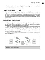 Bảo mật hệ thống mạng part 34 ppt