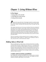 Wireless all- In-One for Dummies- P2 ppsx