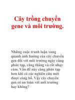 Cây trồng chuyển gene và môi trường. pdf