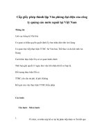 Cấp giấy phép thành lập Văn phòng đại diện của công ty quảng cáo nước ngoài tại Việt Nam ppt