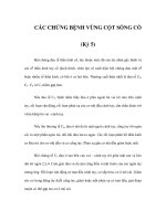 CÁC CHỨNG BỆNH VÙNG CỘT SỐNG CỔ (Kỳ 5) pptx