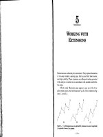 Fibonacci applications and strategies for traders Chapter 5 docx