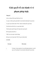 Giải quyết tố cáo hành vi vi phạm pháp luật. pptx