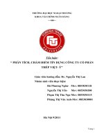 PHÂN TÍCH CHẤM ĐIỂM TÍN DỤNG CÔNG TY CỔ PHẦN THÉP VIỆT Ý