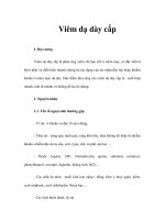Viêm dạ dày cấp pptx