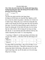 Câu hỏi định mức doc