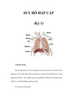 SUY HÔ HẤP CẤP (Kỳ 1) pps