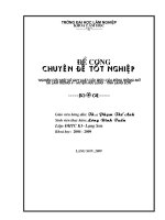 ĐỀ CƯƠNG TỐT NGHIỆP CỦA LƯU GỬI SAN