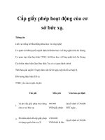 Cấp giấy phép hoạt động của cơ sở bức xạ. pptx