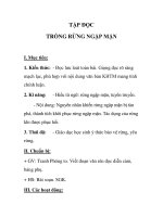 TẬP ĐỌC TRỒNG RỪNG NGẬP MẶN pptx