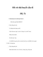 Sốt rét đái huyết cầu tố (Kỳ 3) ppt