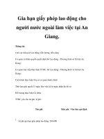 Gia hạn giấy phép lao động cho người nước ngoài làm việc tại An Giang. pot