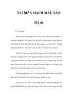 TAI BIẾN MẠCH MÁU NÃO (Kỳ 6) pot