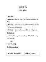 CHÍNH TẢ CAO BẰNG ppsx