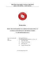 PHÂN TÍCH TÌNH HÌNH TÀI CHÍNH NĂM 2010 CÔNG TY CỔ PHẦN KINH ĐÔ BẰNG MÔ HÌNH CỔ ĐIỂN  VÀ MÔ HÌNH ĐIỂM SỐ Z
