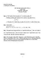 de thi toan hoc sinh gioi v1