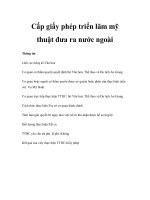 Cấp giấy phép triển lãm mỹ thuật đưa ra nước ngoài docx