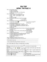 Ôn tập Tin 6 - HKII