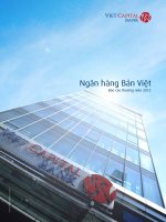 báo cáo thường niên 2013 ngân hàng tmcp bản việt viet capital bank