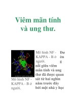 Mô hình NF - Đư KAPPA - docx