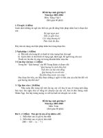 Đề thi sinh giỏi lớp 5 (đề 6)