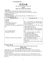 GIAO AN 4.CKTKN .DU CAC MON(KHANH)