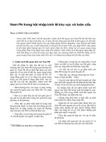 Nam Phi trong hội nhập kinh tế khu vực và toàn cầu