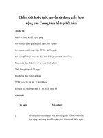 Chấm dứt hoặc tước quyền sử dụng giấy hoạt động của Trung tâm hỗ trợ kết hôn. docx