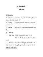 KHOA HỌC ĐÁ VÔI doc