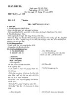 Giáo án lớp 2 tuần 29 - phông Times New Roman