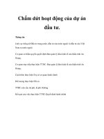 Chấm dứt hoạt động của dự án đầu tư. ppt