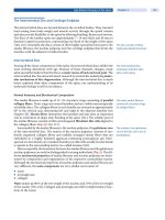 Spinal Disorders: Fundamentals of Diagnosis and Treatment Part 13 pdf