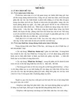 skknghiem lop 5(giai toan co loi van co yeu to hinh hoc)