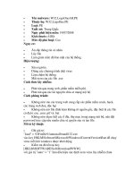 Bách Khoa Antivirus-Đặc Điểm Các Virus part 7 doc