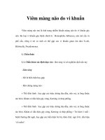 Viêm màng não do vi khuẩn docx