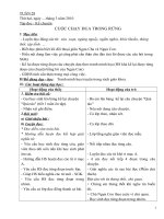 giao an 3 - tuan 28 chuan