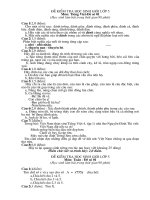 Đề thi toán lớp 5