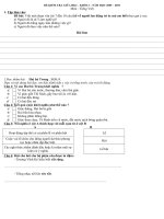 Đề KTGKII- lớp 3