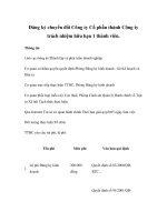 Đăng ký chuyển đổi Công ty Cổ phần thành Công ty trách nhiệm hữu hạn 1 thành viên. doc
