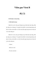 Viêm gan Virut B (Kỳ 2) pot