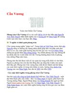 Phong trào Cần Vương