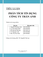 PHÂN TÍCH TÍN DỤNG CÔNG TY TRẦN ANH
