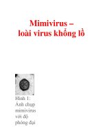 Mimivirus – loài virus khổng lồ pptx