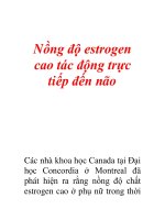 Nồng độ estrogen cao tác động trực tiếp đến não ppt