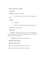 Giáo án Hoá học lớp 9 - CÁC OXT CỦA CACBON pot