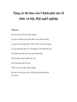 Tặng cờ thi đua của Chính phủ cho tổ chức xã hội, Hội nghề nghiệp docx