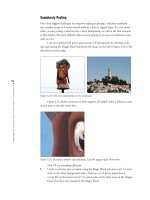 Photoshop Elements 3 Solutions: The Art of Digital Photography- P7 pptx