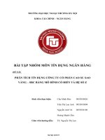 PHÂN TÍCH TÍN DỤNG CÔNG TY CỔ PHẦN CAO SU SAO VÀNG – SRC BẰNG MÔ HÌNH CỔ ĐIỂN VÀ HỆ SỐ Z
