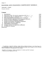 Handbook of Econometrics Vols1-5 _ Chapter 21 pot