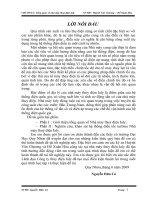 tổng quan về nhà máy thủy điện ialy